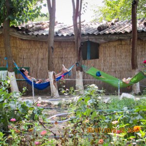 Relaxare pescari canal Sontea Relaxare pescari canal Sontea