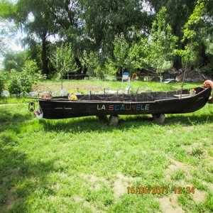 la pescari la pescari